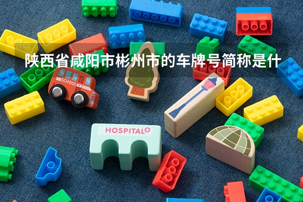 陕西省咸阳市彬州市的车牌号简称是什么？