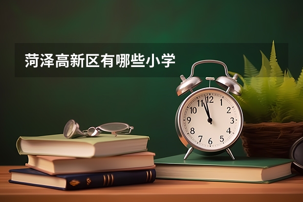 菏泽高新区有哪些小学