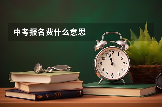 中考报名费什么意思