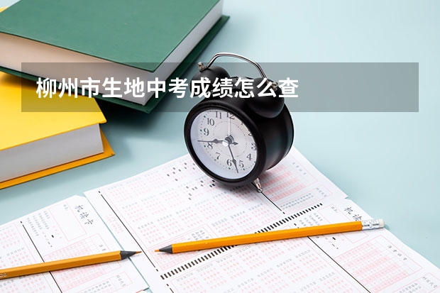 柳州市生地中考成绩怎么查