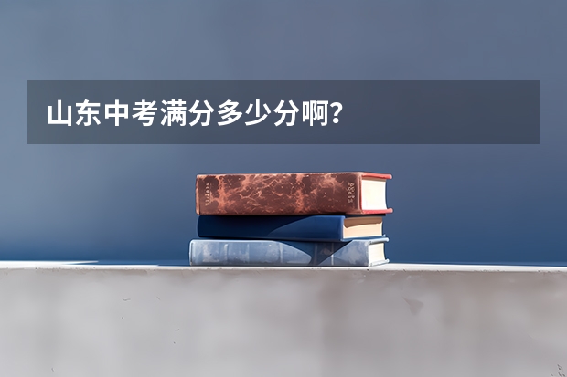 山东中考满分多少分啊？
